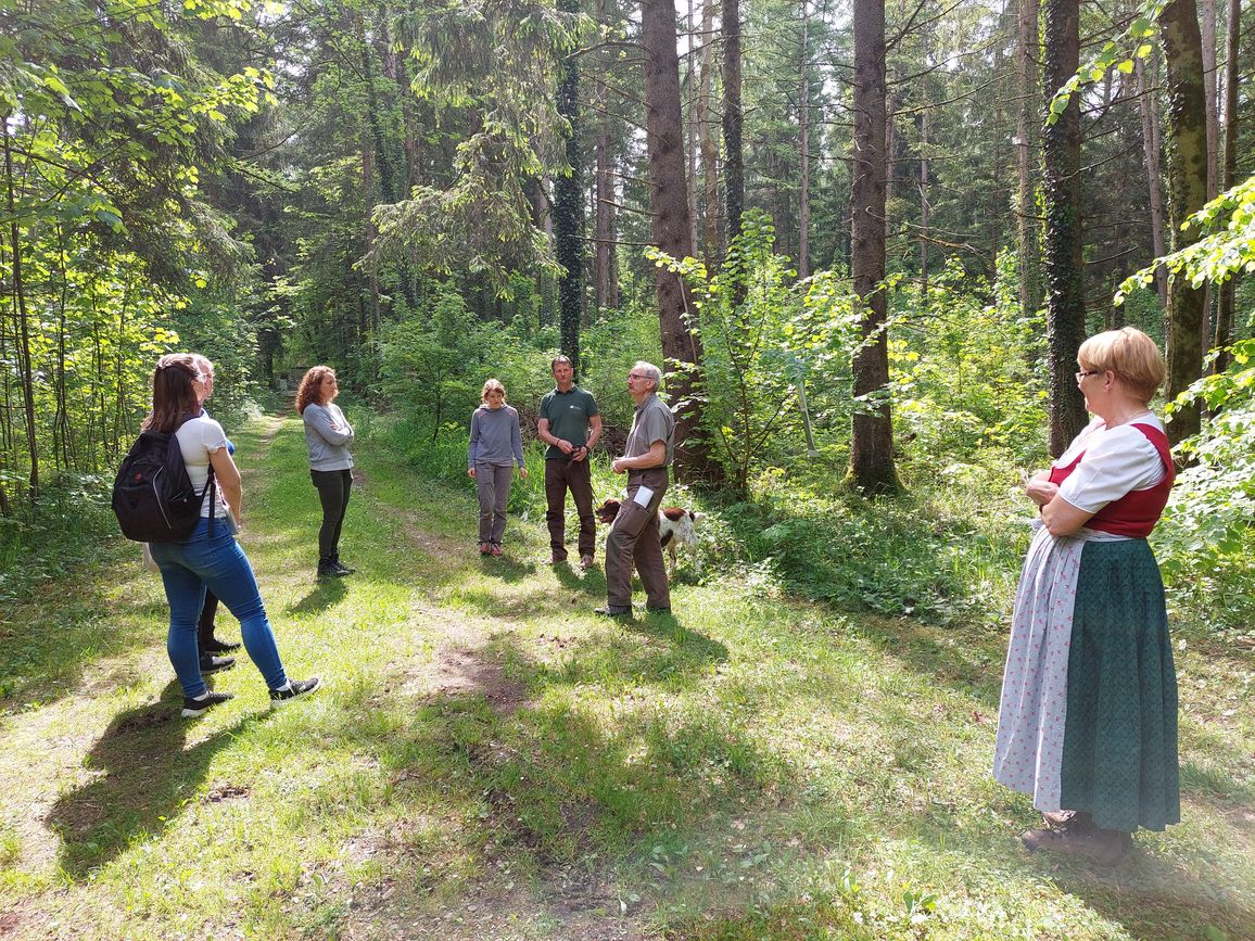 Aktuelles Wir bauen auf heimisches Holz e.V.